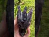 Fluorite Dragon Head Carving #12