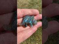 Carved Labradorite Triceratops