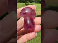 Colorful Fluorite Mushroom Carving #1