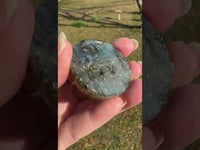 Carved Unicorn & Flowers Labradorite with Case