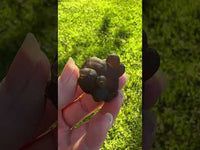 Panda Agate aka Truffle Chalcedony #4