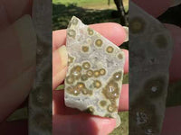 Ocean Jasper Free-form #9