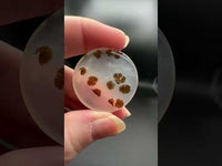 Scenic Dendritic Agate Cabochon #6