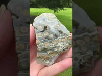 8th Vein Ocean Jasper Slab #38