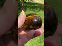 Natural Tiger Eye Skull
