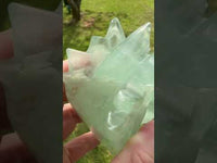 Fluorite Dragon Head Carving #13