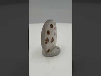Scenic Dendritic Agate Cabochon #8