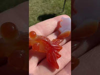 Carved Carnelian Agate Goldfish #3