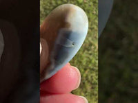 Owyhee Blue Opal Cabochon #24