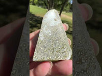 Ocean Jasper Free-form #15