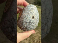 Polished Front Agate Geode #3