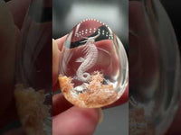 Beautiful Seahorse Garden Quartz Inner Scene Carving #10