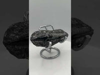 Natural Orthoceras Fossil Specimen #17
