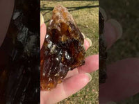 Natural Amber Calcite Raw Specimen UV Reactive #11