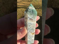 Moss Agate Double Terminated Point #4