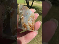 Ocean Jasper Free-form #16
