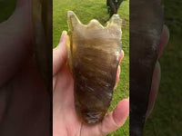 Fluorite Dragon Head Carving #20