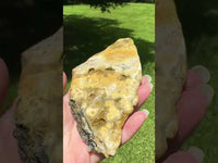 8th Vein Ocean Jasper Slab #102