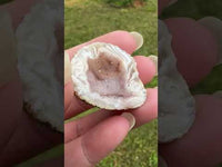 Oco Geode from Mexico #2