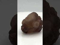 Panda Agate aka Truffle Chalcedony #5