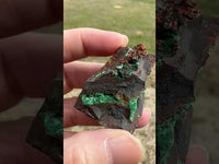 Conichalcite, 0juela, Mapimi, Durango, Mexico