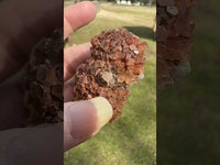 Aragonite Specimen, Mexico