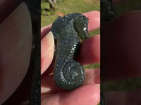 Carved Labradorite Seahorse with Case #1