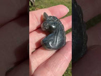 Carved Unicorn Labradorite with Case