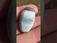 Owyhee Blue Opal Cabochon #50