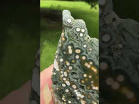 8th Vein Ocean Jasper Slab #83