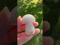 Fluorite Mushroom Carving #19