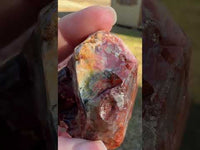 Savannah River Agate Specimen 1h