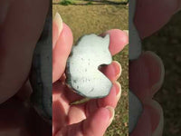 Carved Unicorn Labradorite with Case #2