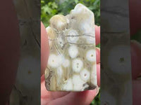 8th Vein Ocean Jasper Polished Free Form #31