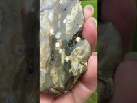 8th Vein Ocean Jasper Slab #29