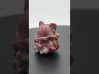 Jasper Nine-tailed Fox