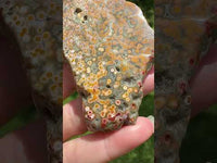 8th Vein Ocean Jasper Slab #85