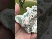 One of a Kind Bunny Shaped 8th Vein Ocean Jasper Slab #2