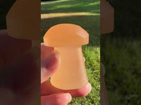 Peach Selenite Mushroom #9
