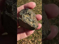Raw Amber Specimen #12