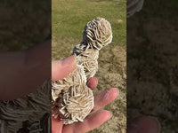 Selenite "Desert Rose," Samalayuka Desert, Chihuahua, Mexico #3