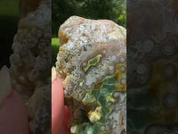 8th Vein Ocean Jasper Slab #88