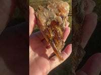 Natural Amber Calcite Raw Specimen UV Reactive #3