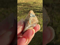 6th Vein Ocean Jasper Polished Freeform #46