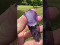 Double Terminated Phantom Amethyst Scepter Wand #1