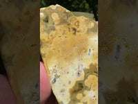 8th Vein Ocean Jasper Slab #132