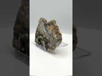 8th Vein Ocean Jasper Slab #29