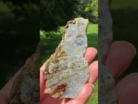 8th Vein Ocean Jasper Slab #115