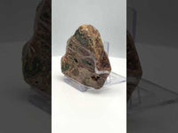 8th Vein Ocean Jasper Slab #10