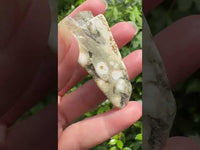 8th Vein Ocean Jasper Polished Free Form #30